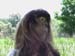 DSC00598.JPG