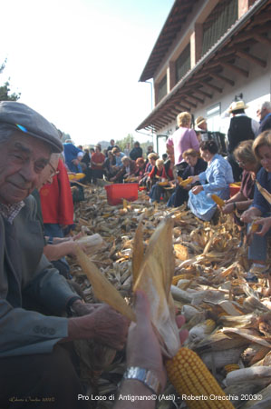 DSC_2107 copia