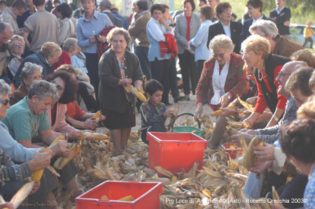 DSC_2131 copia