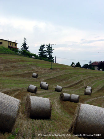 DSC05546