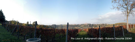 20-10-02PanVigAgriNoZo1