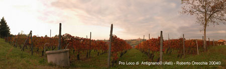 20-10-02PanVigAgriNoZo4CR